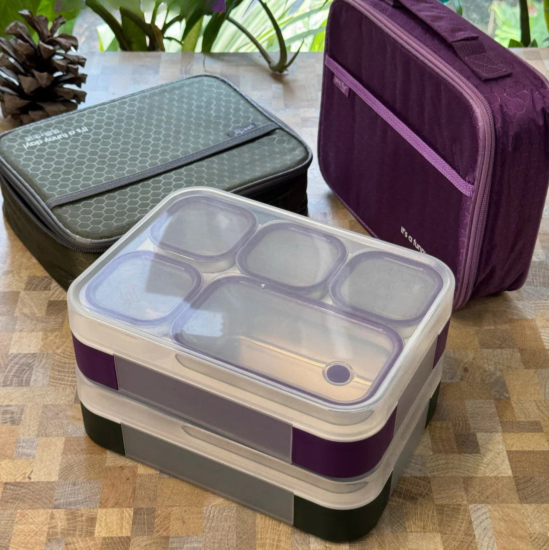 Pure Meal 5 (2+3) Compartment Stainless Steel Bento Lunch Box with Bag